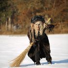Hexe im Schnee.jpg