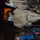 DSC_0595.JPG