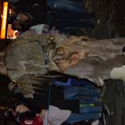 DSC_0600.JPG