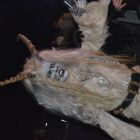 DSC_0827.JPG