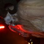 DSC_0819.JPG