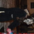 DSC_0019.JPG