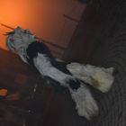 DSC_0146.JPG