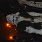 DSC_0187.JPG
