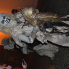DSC_0176.JPG