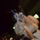 DSC_0104.JPG