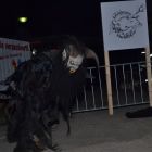 DSC_0042.JPG