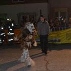 DSC_0106.JPG