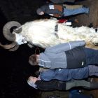 DSC_0075.JPG